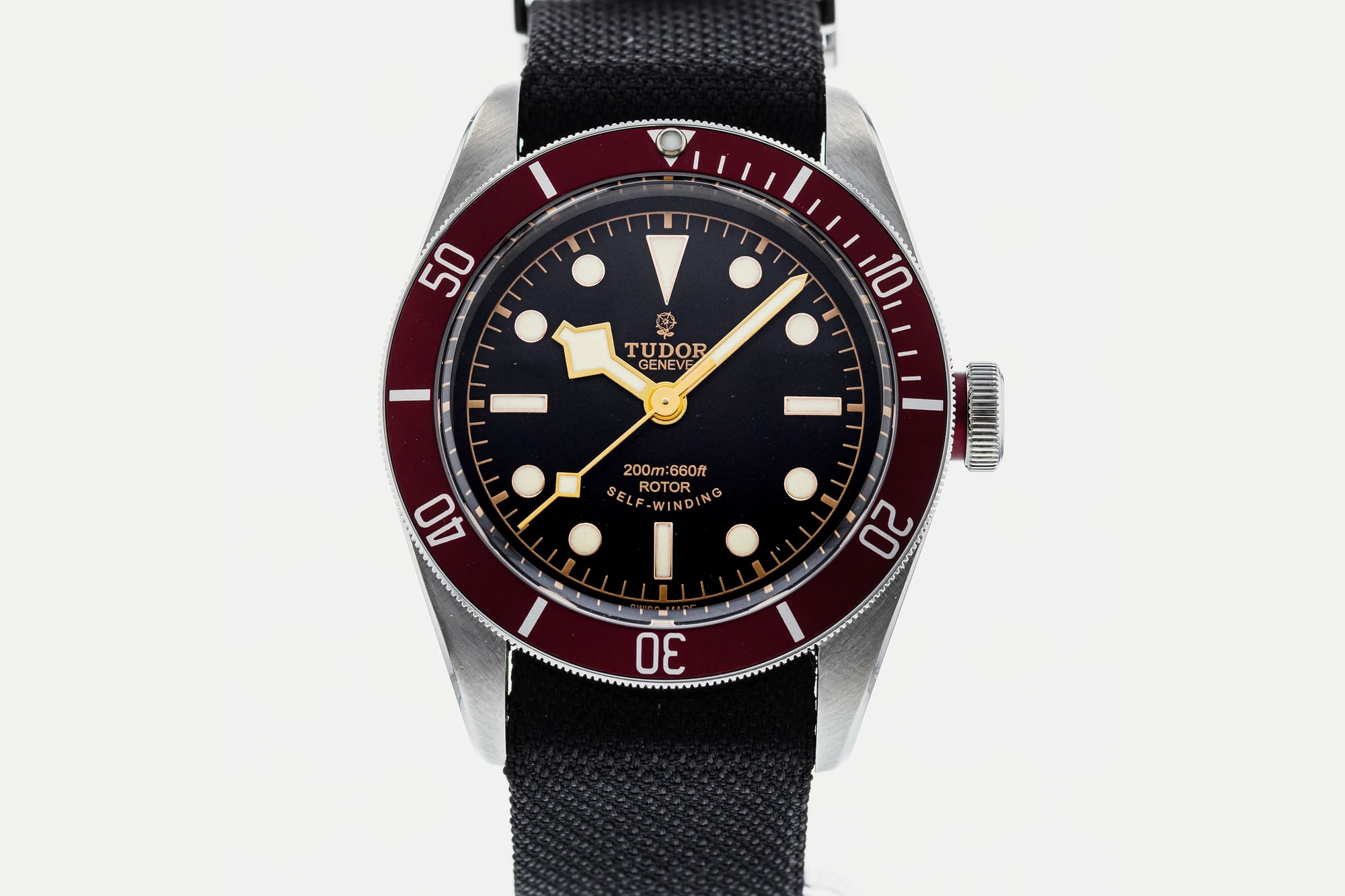 Tudor Black Bay